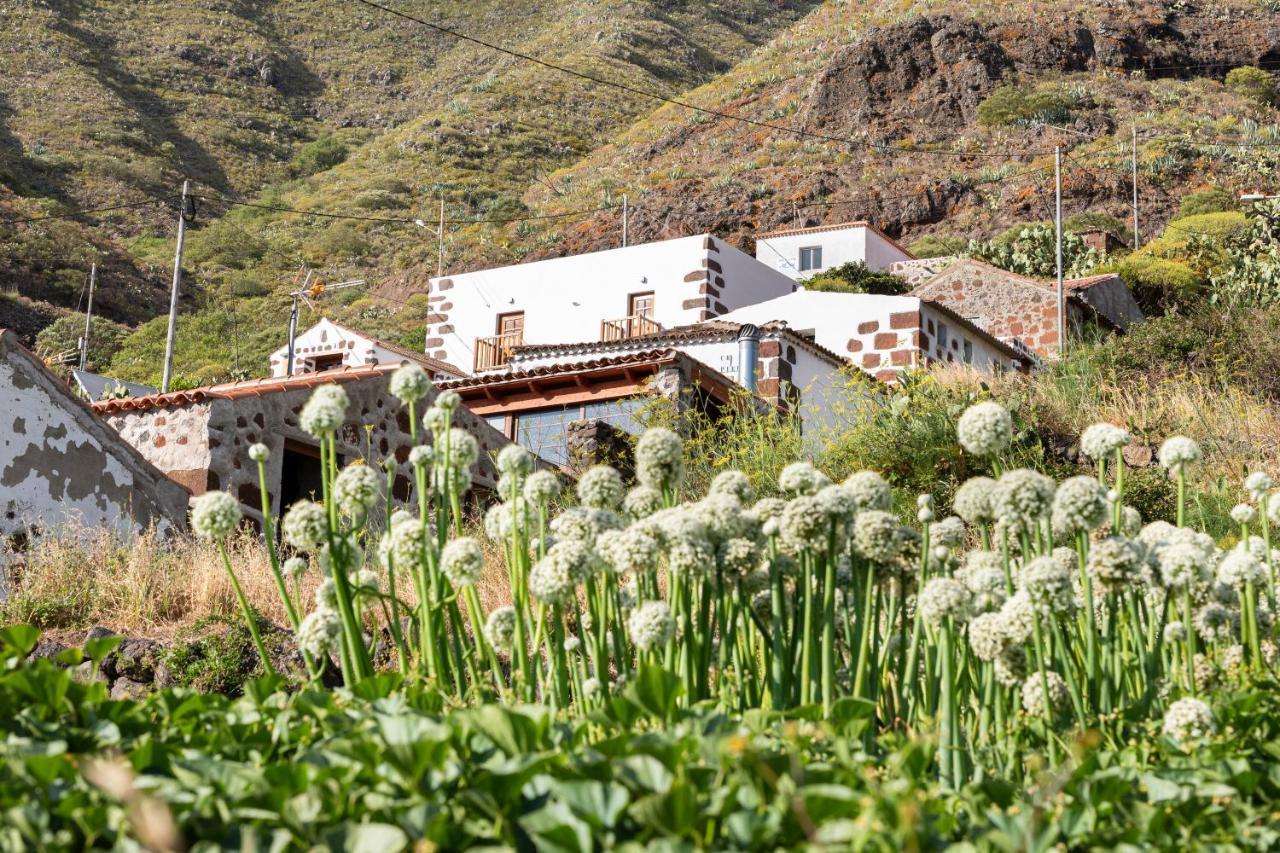 Home2Book Nature Carrizales And Masca House & Wifi Buenavista del Norte Kültér fotó
